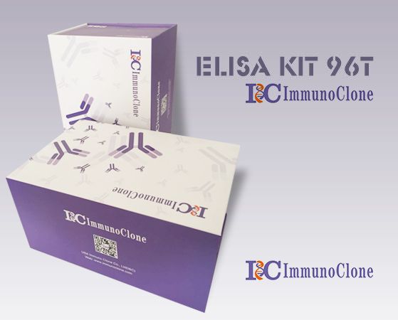 Chicken Secretory Immunoglobulin A (sIgA) ELISA Kit