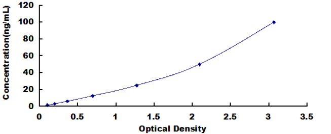 Rabbit Cathepsin K (CTSK) ELISA Kit