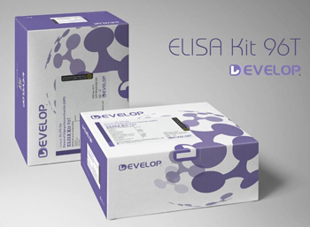 Rabbit Bradykinin (BK) ELISA Kit