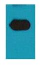 mOrange Polyclonal Antibody
