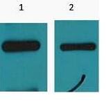 Myc-Tag Monoclonal Antibody