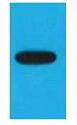 EBFP Monoclonal Antibody