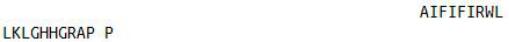 OVA Conjugated Salusin Beta (SALb)