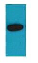 mOrange Polyclonal Antibody
