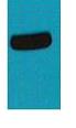 AmCyan Polyclonal Antibody