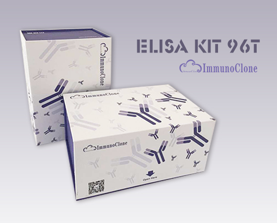 Equine Immunoglobulin G (IgG) ELISA Kit