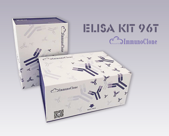 Bovine Bone Morphogenetic Protein 4 (BMP4) ELISA Kit