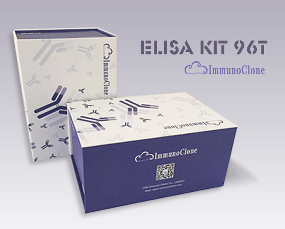 Caprine Insulin Like Growth Factor 2 (IGF2) ELISA Kit