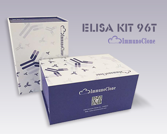 Bovine Aspartate Aminotransferase (AST) ELISA Kit