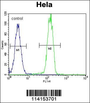 PARP1 Antibody