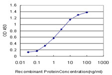 MYH9 Antibody (monoclonal) (M05)