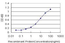 NRP2 Antibody (monoclonal) (M01)