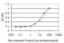 MDH2 Antibody (monoclonal) (M06)