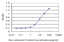 MRPS27 Antibody (monoclonal) (M06)