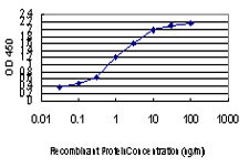 MYBPC1 Antibody (monoclonal) (M01)