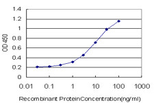 NEGR1 Antibody (monoclonal) (M01)