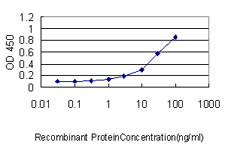MOAP1 Antibody (monoclonal) (M01)