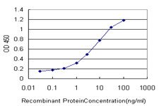 MMRN1 Antibody (monoclonal) (M02)
