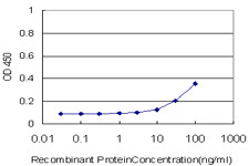 NCOA5 Antibody (monoclonal) (M04)