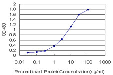 MSH5 Antibody (monoclonal) (M08)