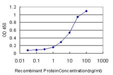 NISCH Antibody (monoclonal) (M02)