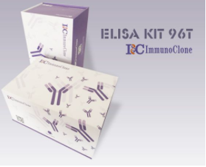 Rat Insulin (INS) ELISA Kit
