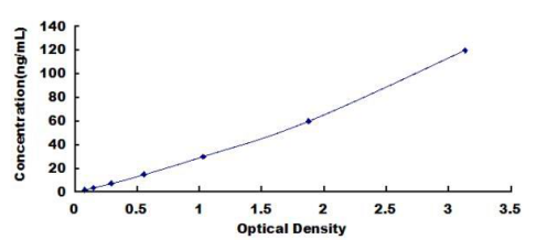 Human Surfactant Associated Protein A (SPA)ELISA Kit