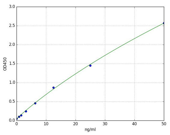 Human OAS3(2'-5'-oligoadenylate synthase 3) ELISA Kit ELISA Kit