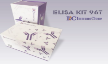 Rat Galectin 1 (GAL1) ELISA Kit